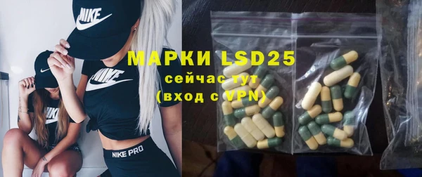 молекула духа Арсеньев