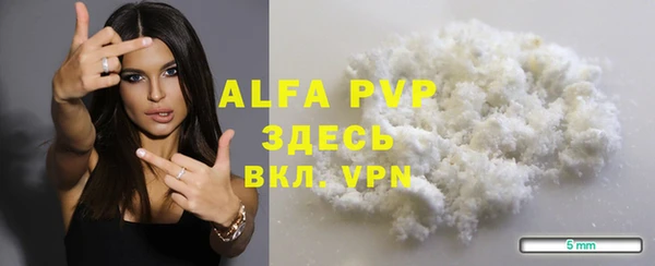 молекула духа Арсеньев