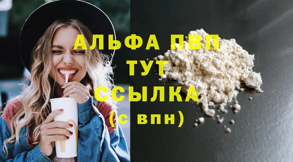 молекула духа Арсеньев