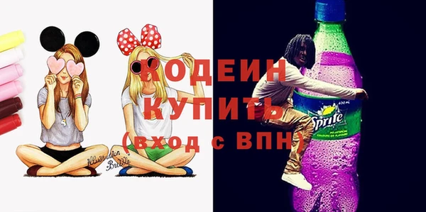 молекула духа Арсеньев