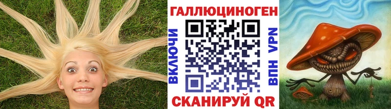 Псилоцибиновые грибы GOLDEN TEACHER  Кологрив 